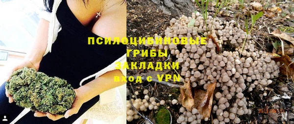 стафф Протвино
